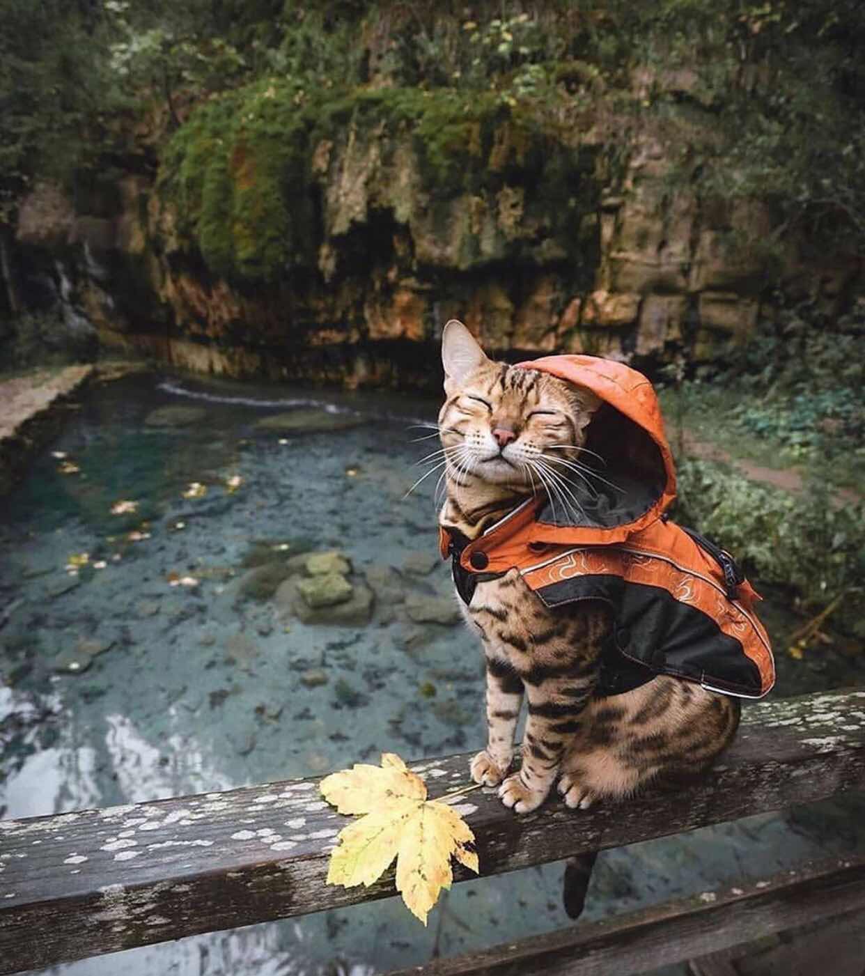 hjh ida profile icon