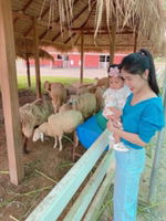 แอลฟา แล็คตาบูมิน profile icon