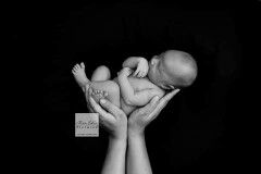 nur naila profile icon