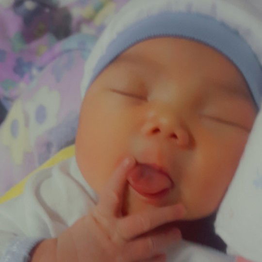 Shane Alfonso profile icon