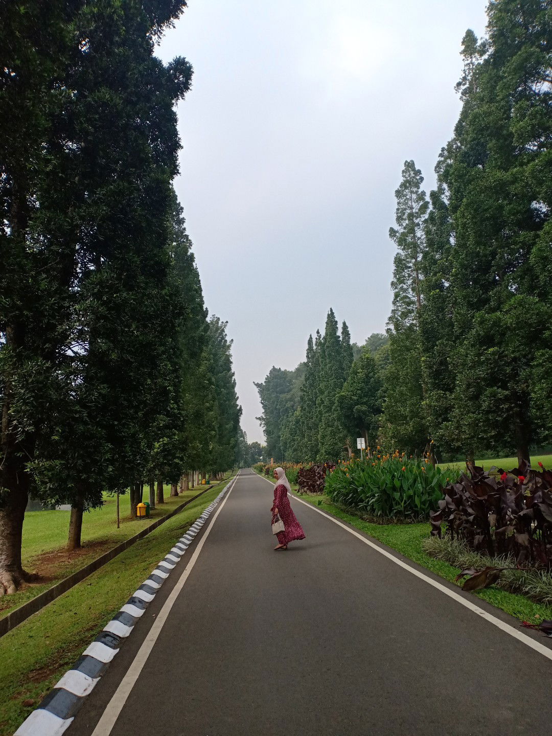 Mrs Susan profile icon