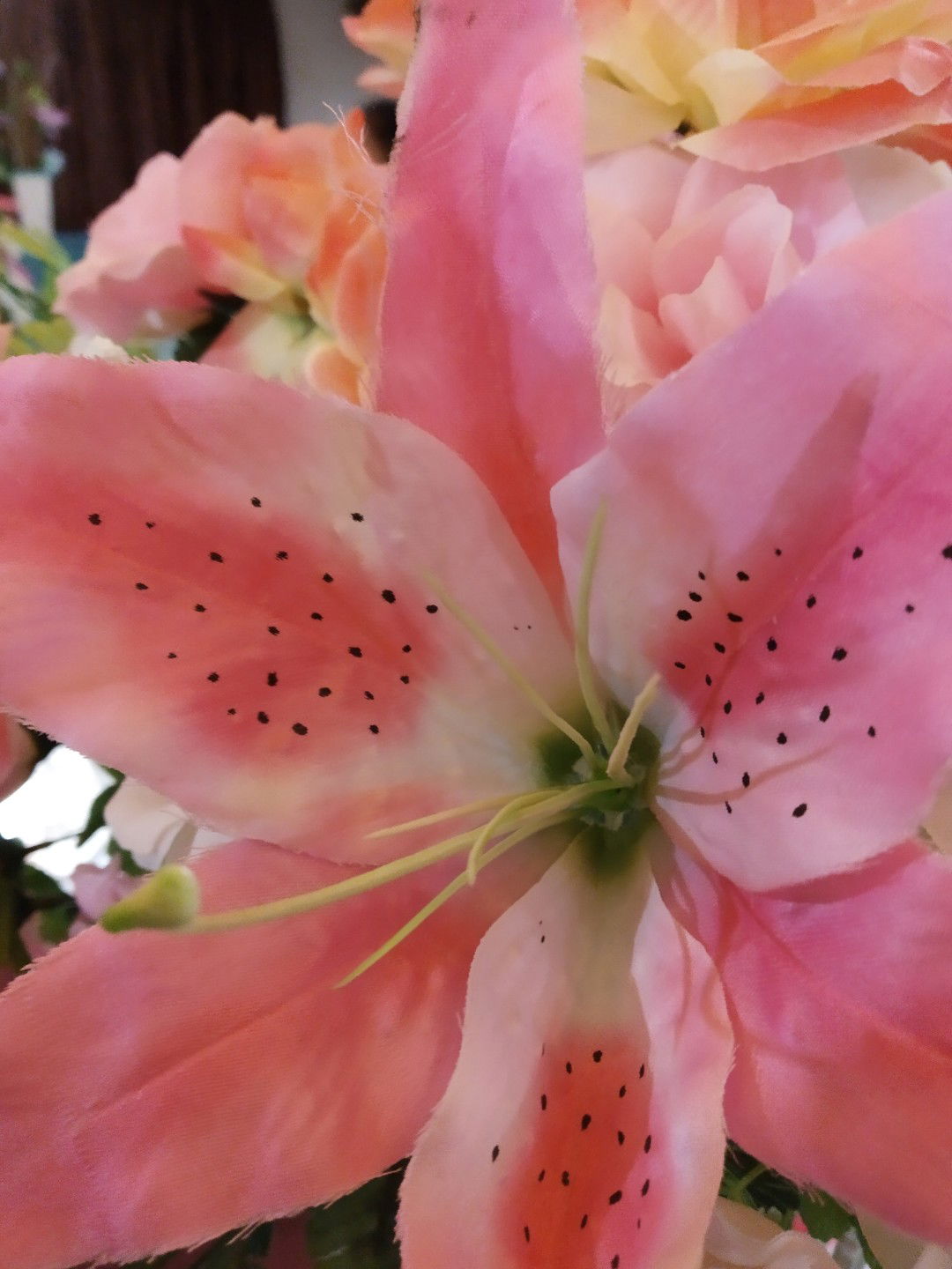 Sinyen Ayen profile icon