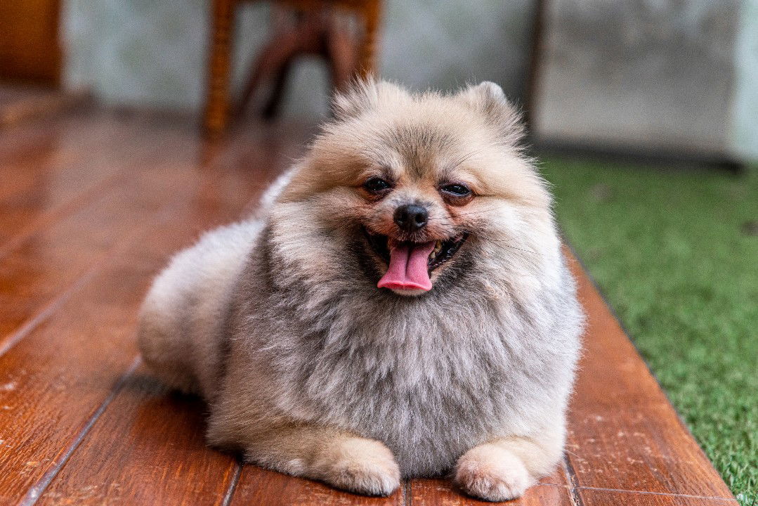 Ch.Ratchadawan profile icon