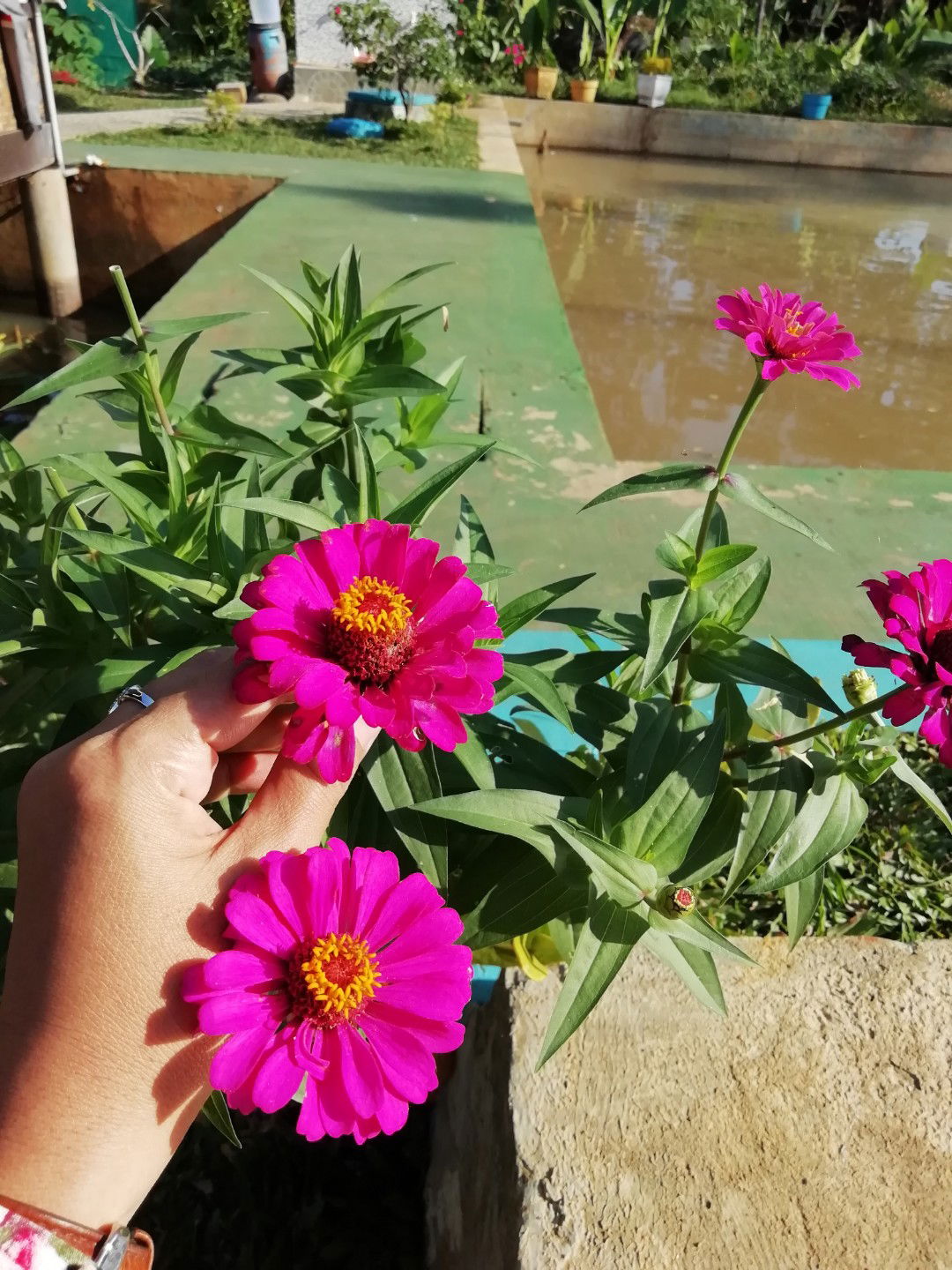 Lia Maulani profile icon