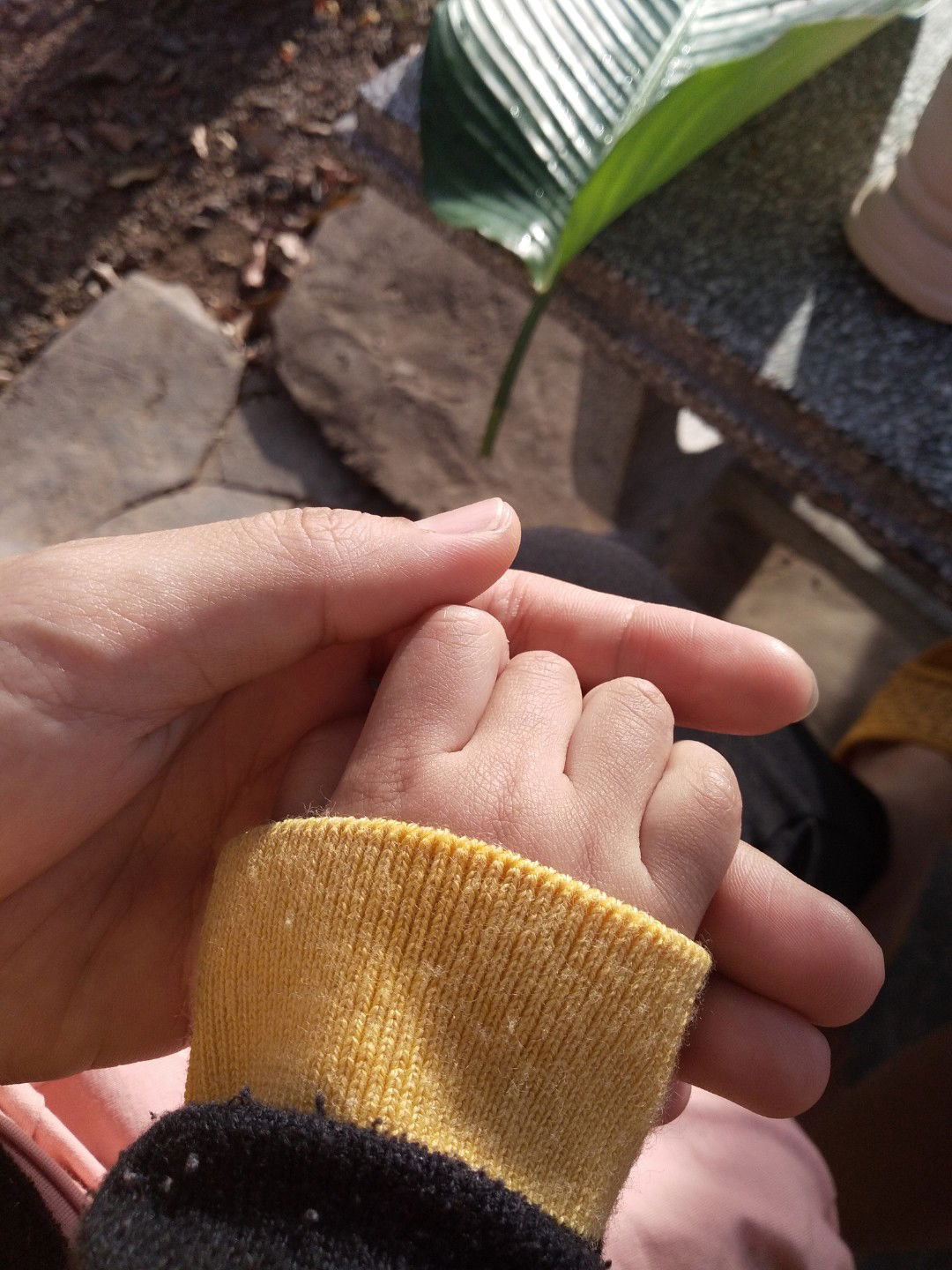 Thanh Thanh profile icon