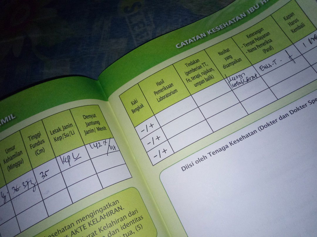 pengganti karbohidrat