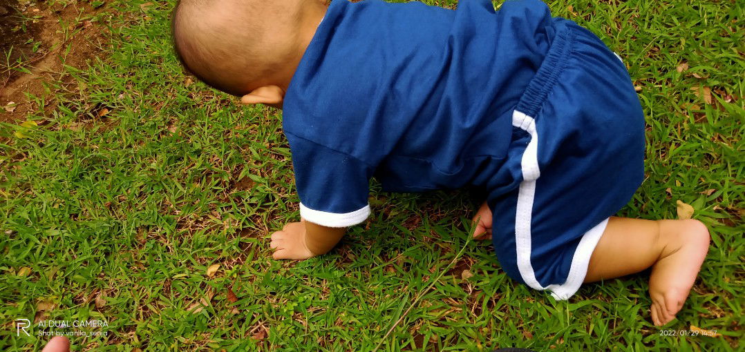 vanila senja profile icon