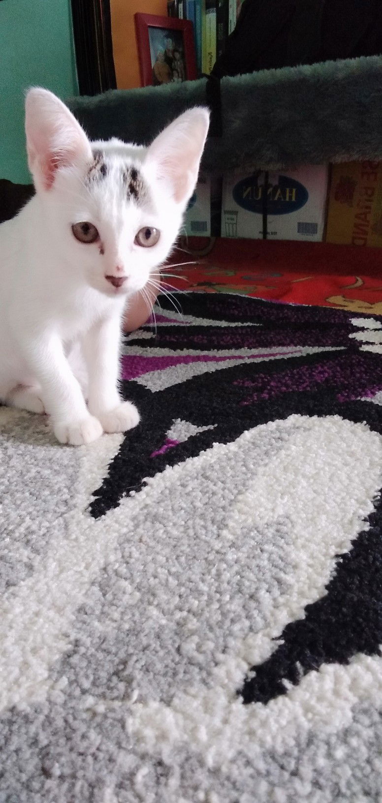 Mia Novita Sari profile icon