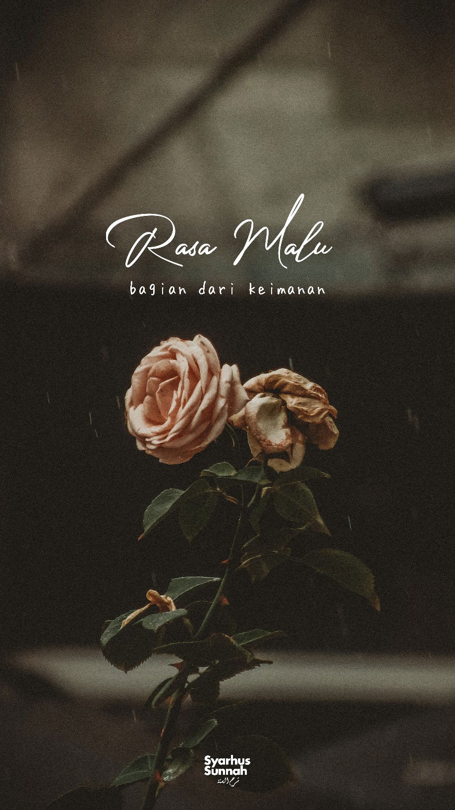 Ummah Hamnah profile icon