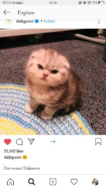 Asyifa Fauzia profile icon