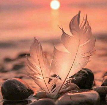 Fitri Windiati profile icon