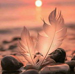 Fitri Windiati profile icon