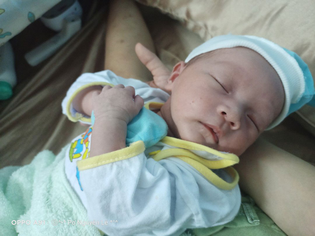 Po Nguyên Lê profile icon