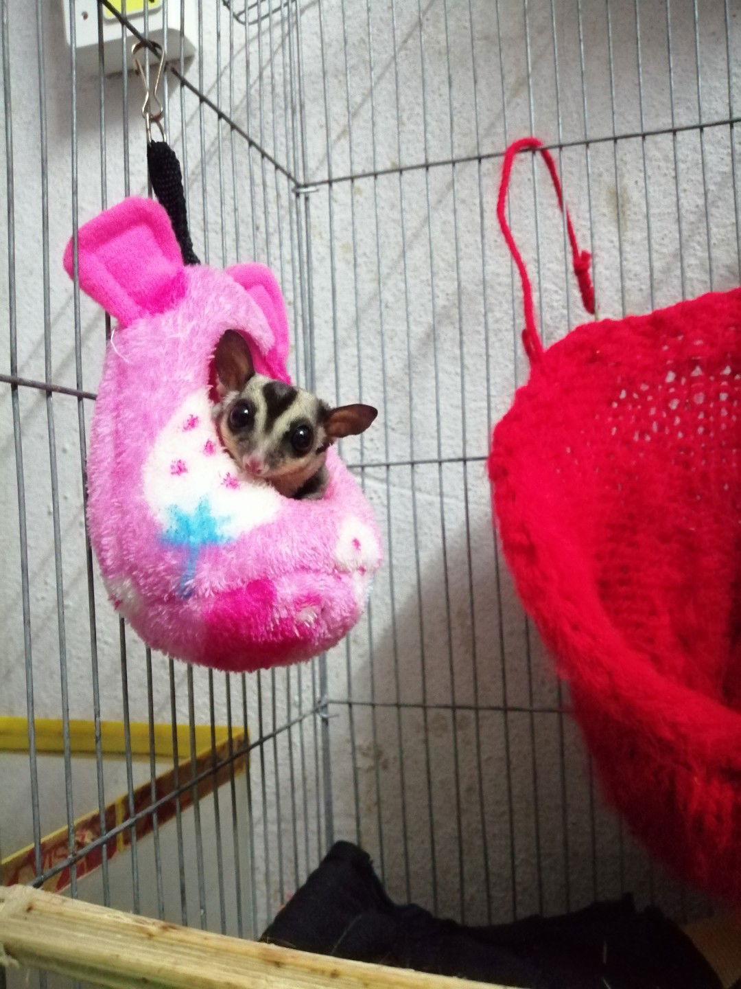 อนุบาลหมีน้อยซู่ซ่า profile icon