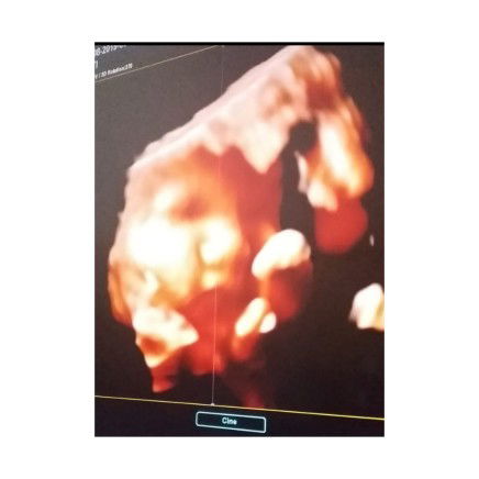 Mafaza Zulaikha Yuyandi profile icon