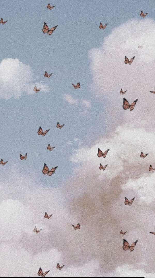 zstd€ profile icon