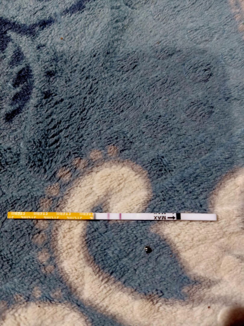 Amellya Alfyonita profile icon