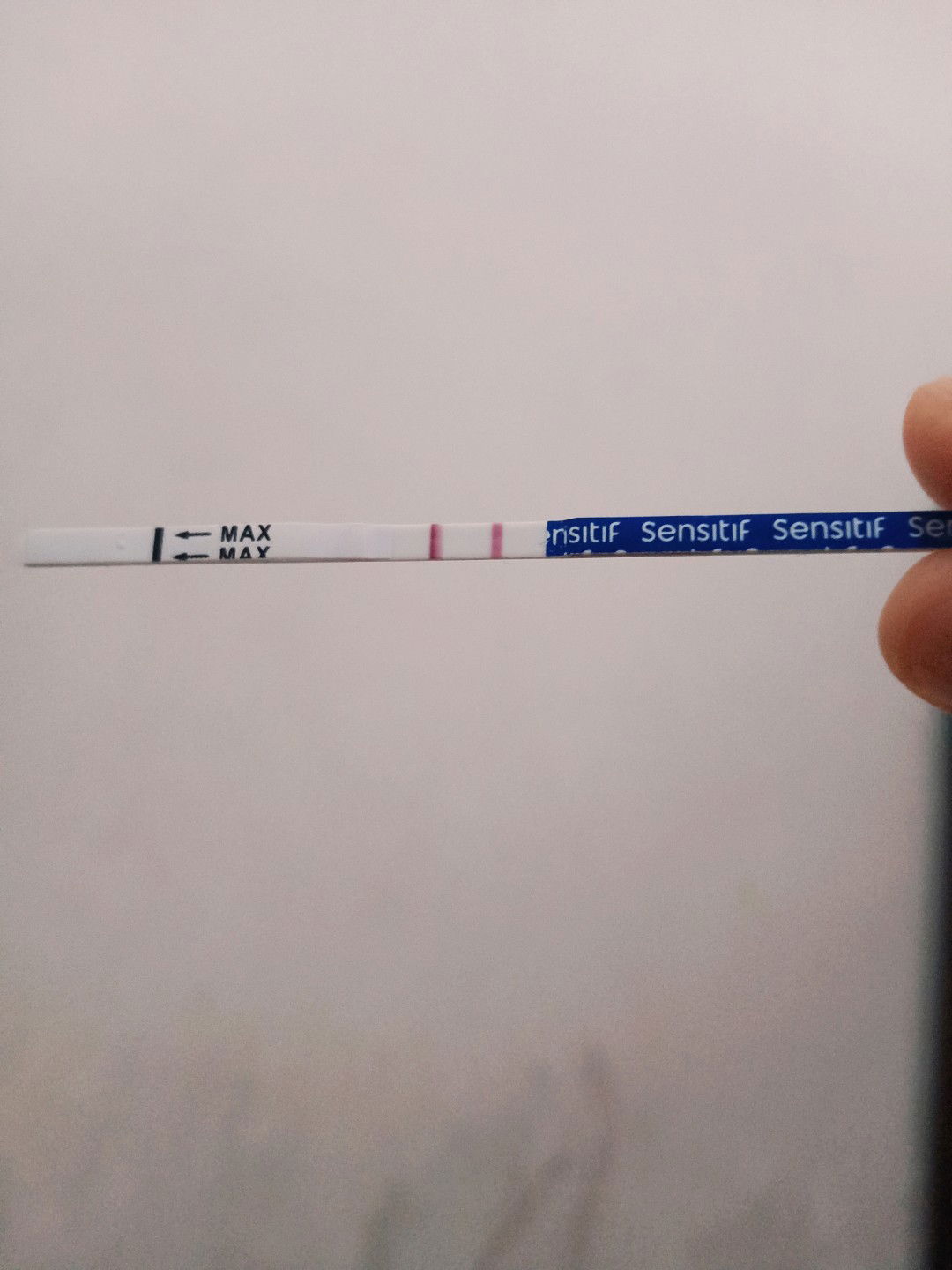 WINDA SAMUEL profile icon