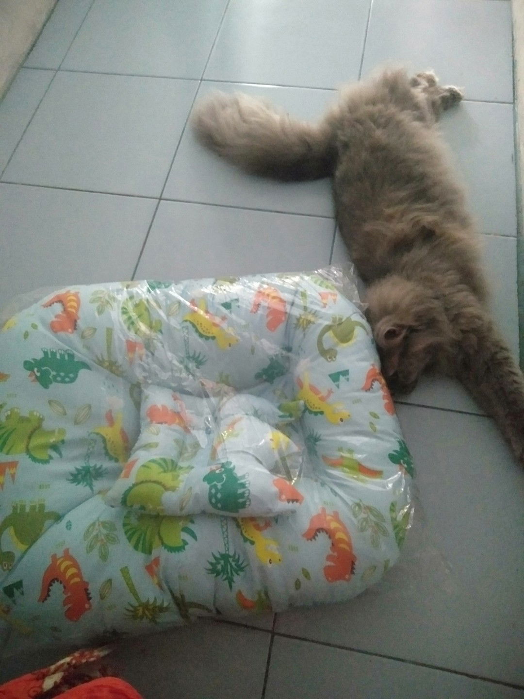 Leni Marlina profile icon