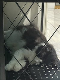 just mommy profile icon