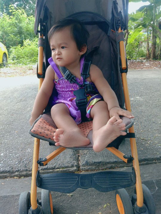 ผัดกระเพรา ราดข้าว ใส่ไข่ดาว profile icon