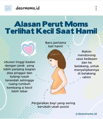 ukuran perut