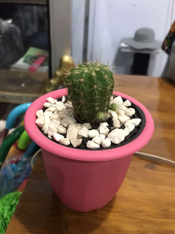 Irana Dewi profile icon