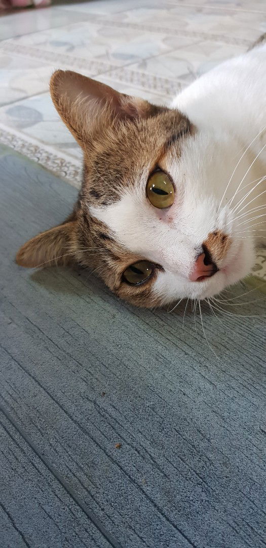 แอม profile icon