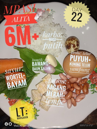 MPASI ALITA 6M+
