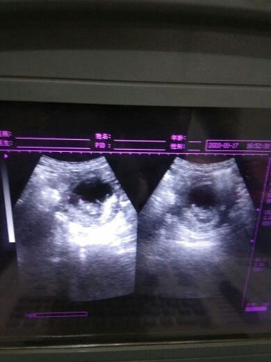 yuniwulandari profile icon