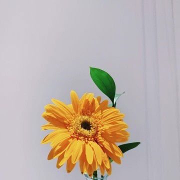 Nurferiya profile icon