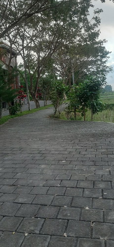 jalan2 pagi