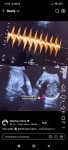 zheee profile icon
