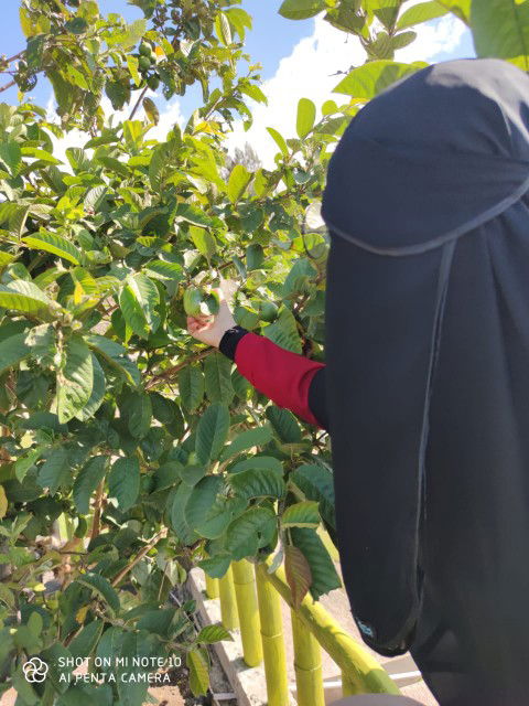 Hesti Komalasari profile icon