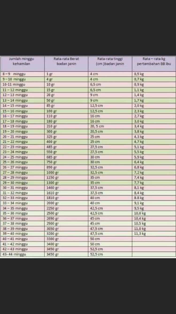 مصطفى profile icon
