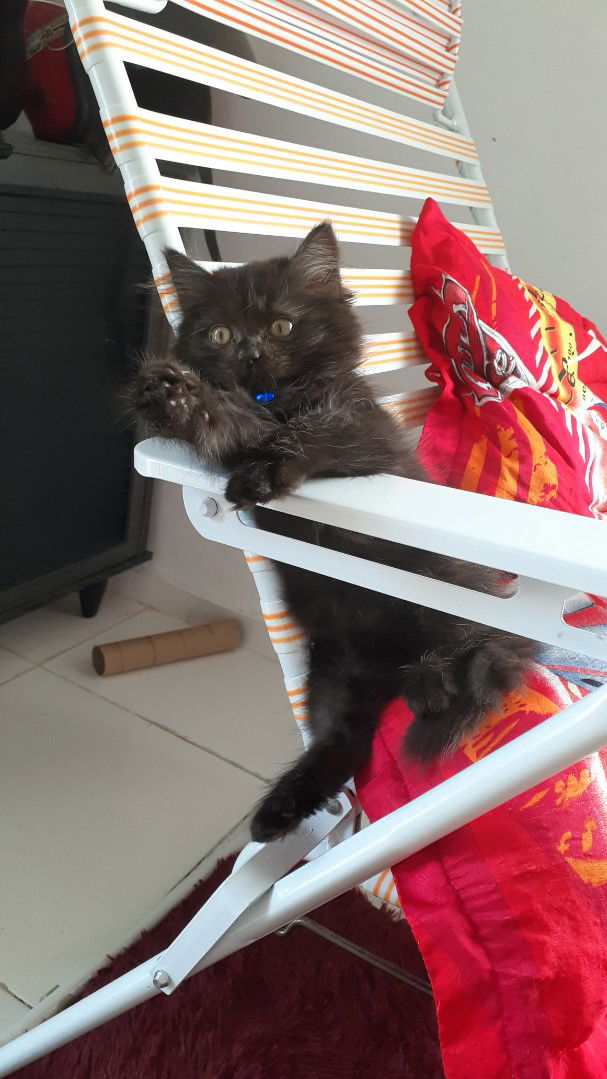 Nur Syuhada Emyllya profile icon