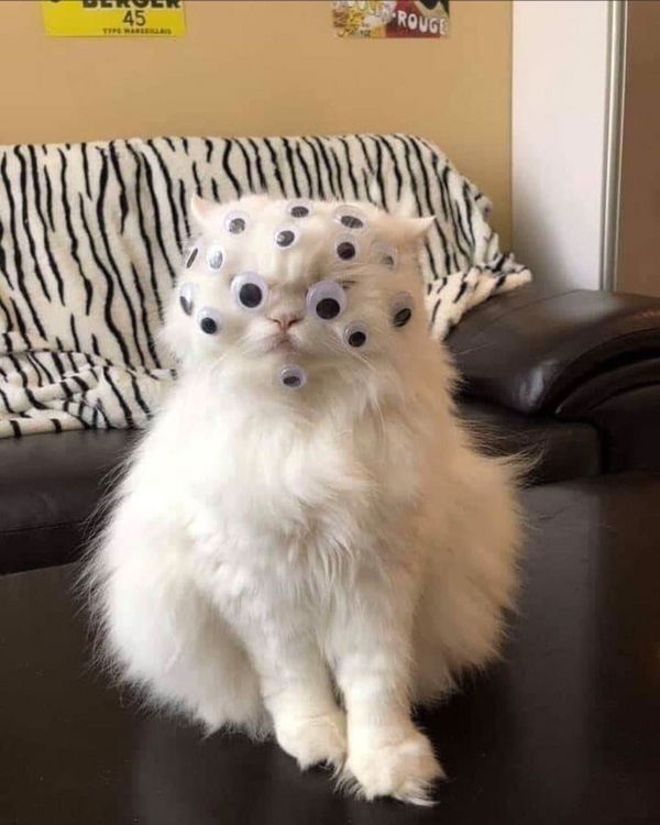 ณัฏฐ์ฐนนท์ มณีพิทักษ์สันติ profile icon