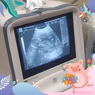 นิตยา profile icon