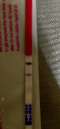 opk test