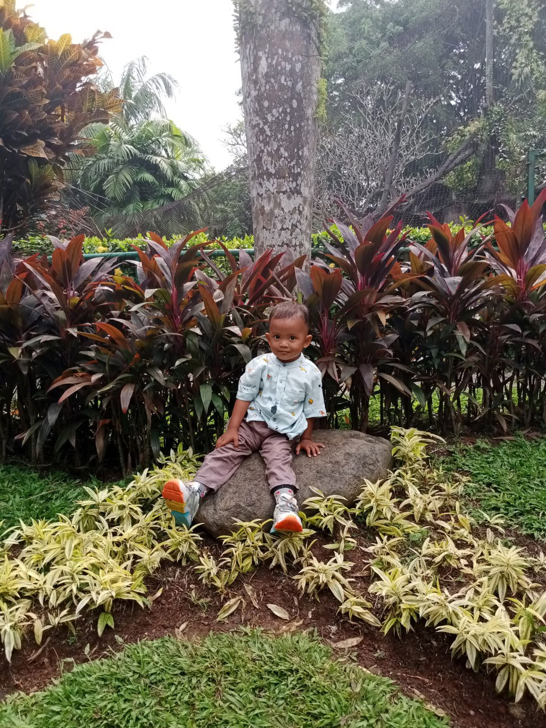 Ellyani Safitri profile icon