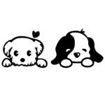N profile icon