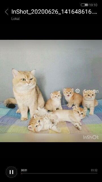 aliya Marfuah profile icon