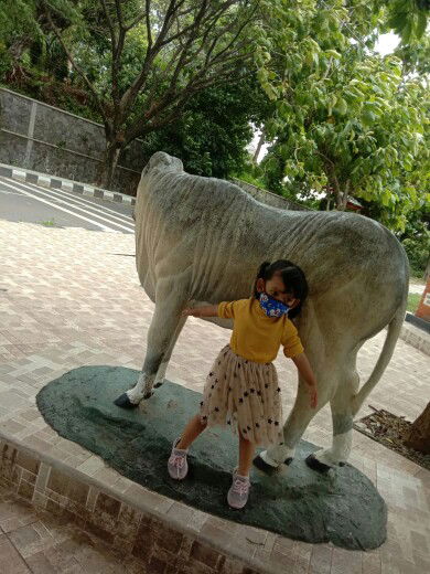 kuni kasaria profile icon