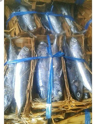 ikan kranjang utk mpasi