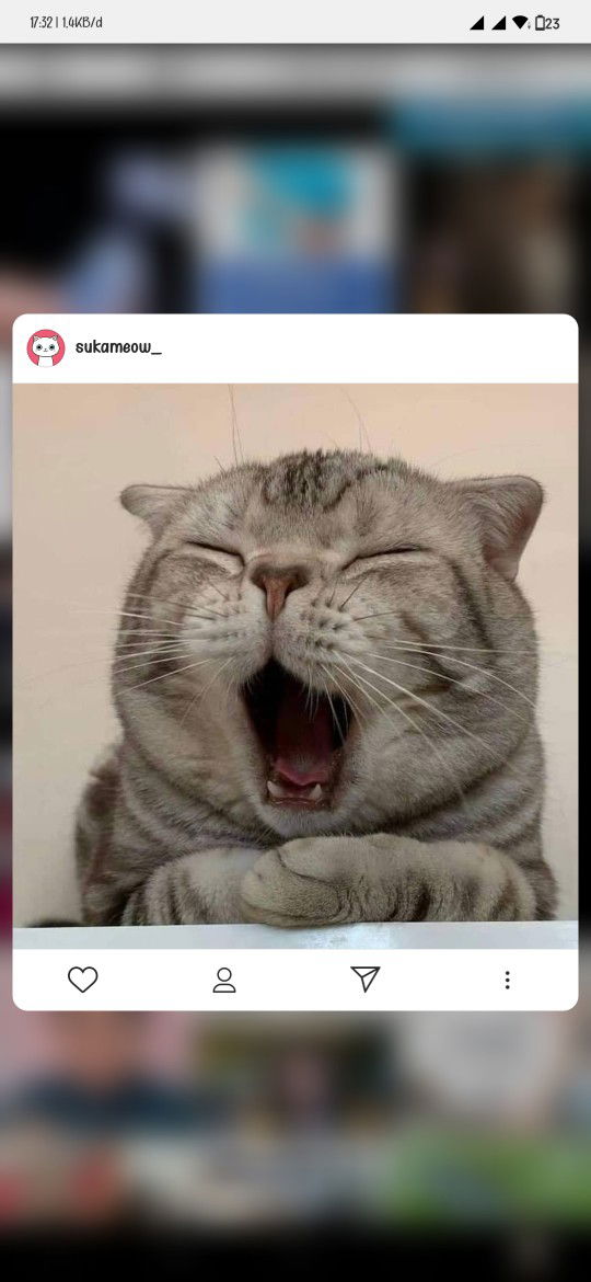 weeeeeeen profile icon