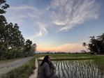 Septi Sapitri profile icon