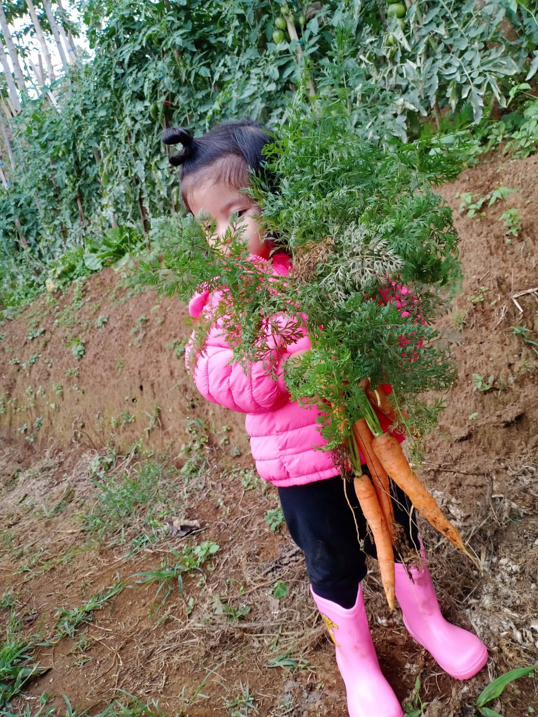 Cheara Yutaka Na profile icon