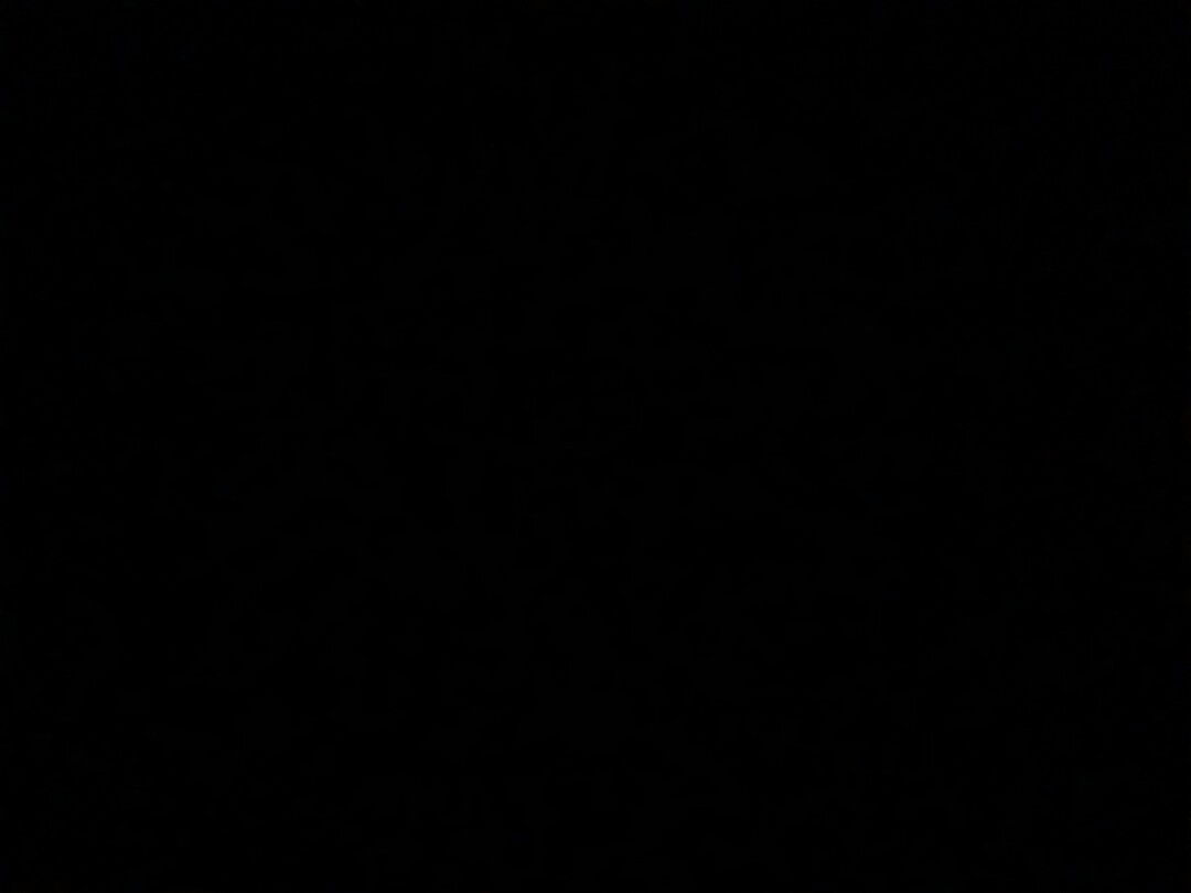 mananchaya profile icon