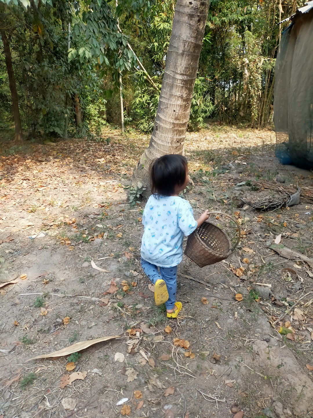 จิราพร แก้วทะชาติ profile icon