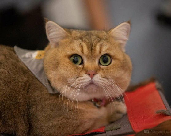 Wakhida profile icon